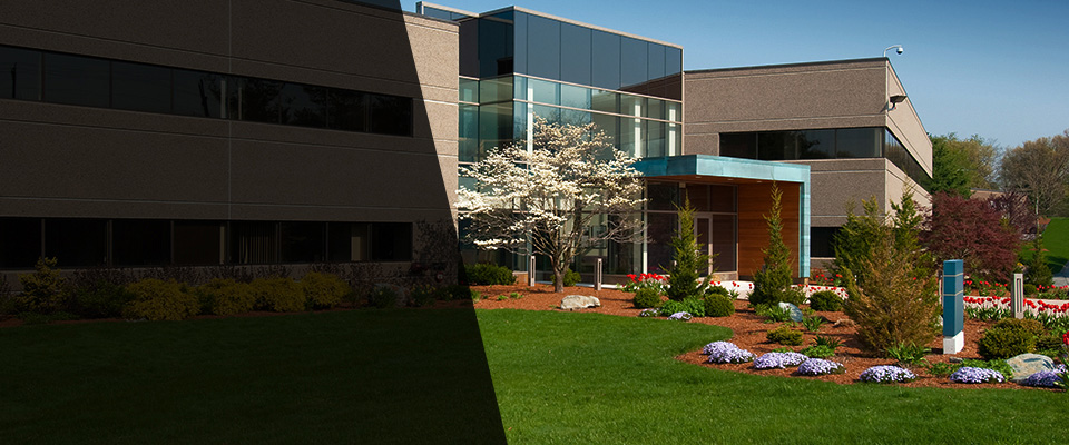 Donna Landscapers