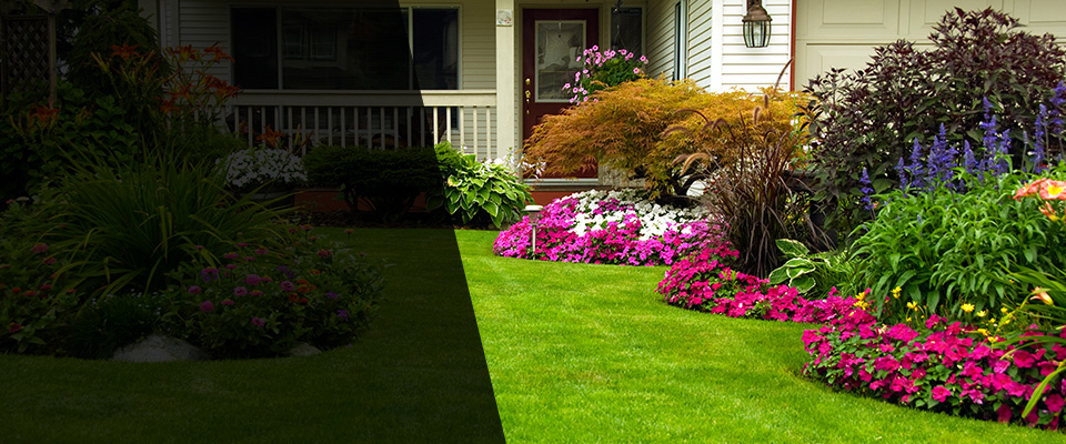 Donna Landscapers