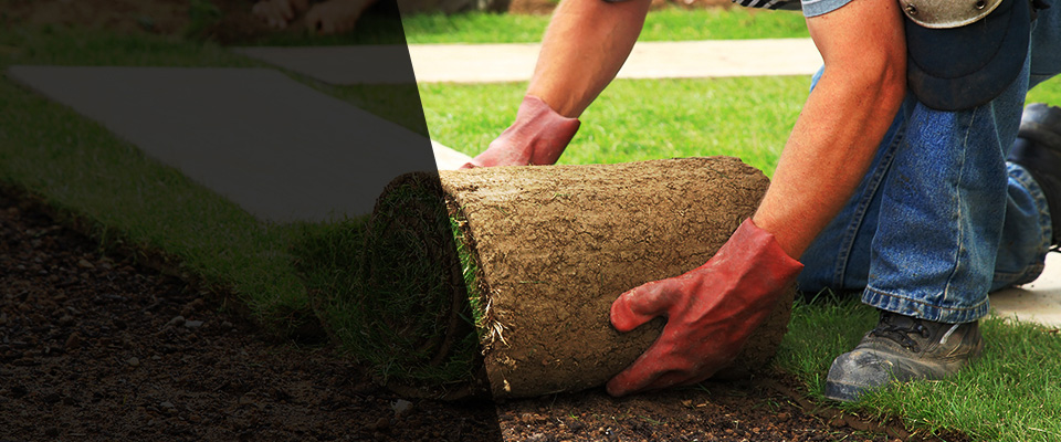 Donna Landscapers